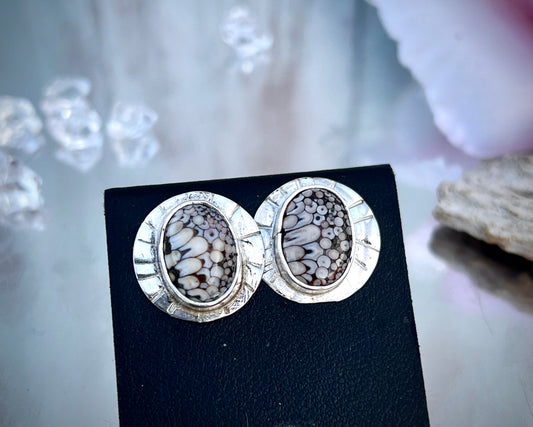 Snake Skin Agate Studs.