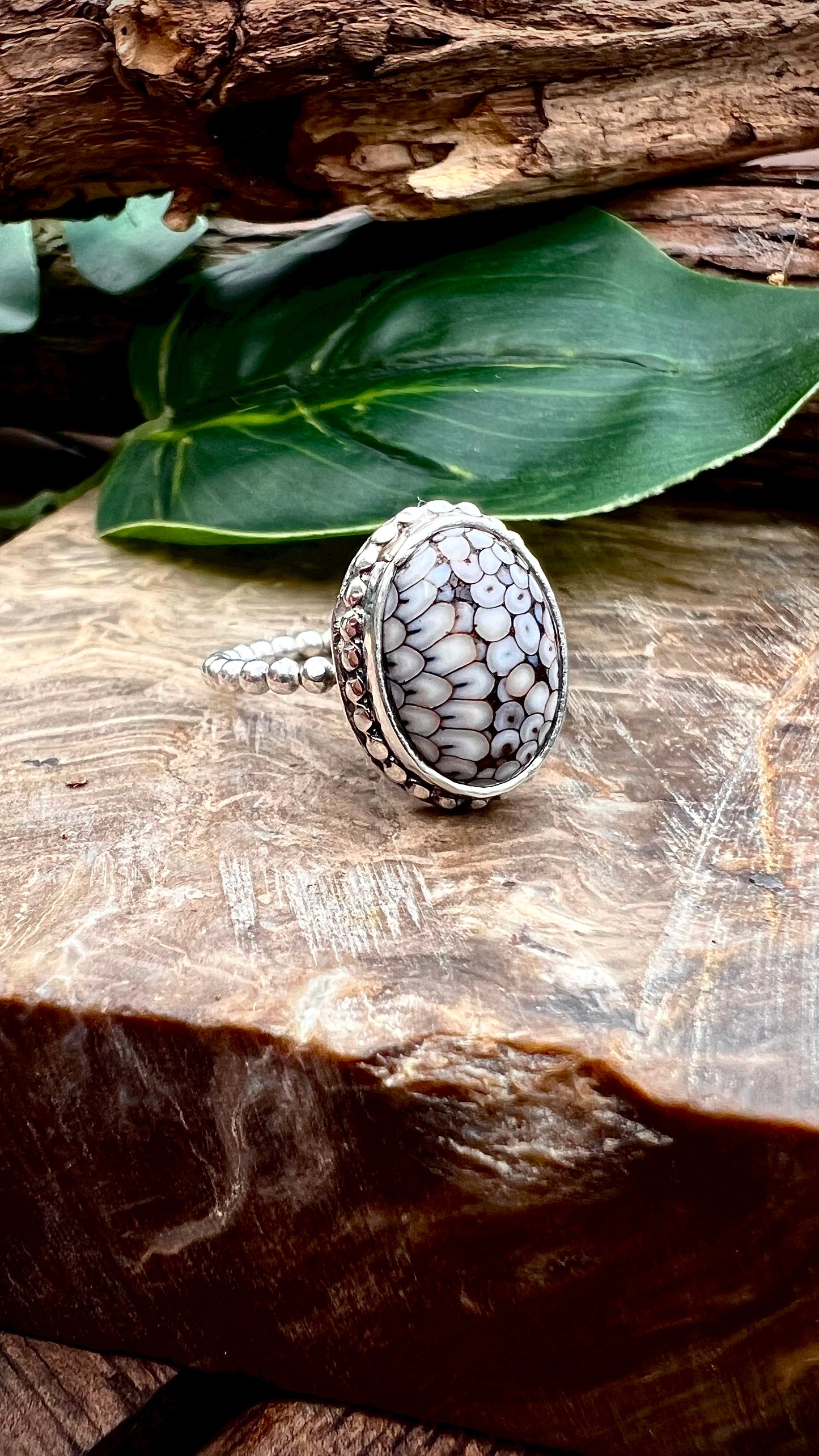 'Eve' Snakeskin Agate Ring